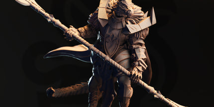 Apokris the Resolute - Silver Dragonkin Paladin
