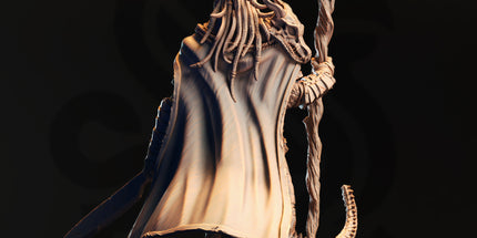 Horzin Ashen-Palm - Black Dragonkin Druid