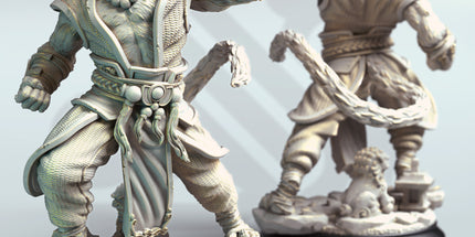 Raiko - Tiger Monk