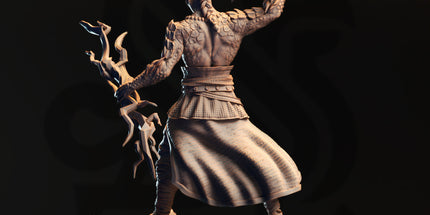 Styrax Thunderscale - Half-Dragon Sorcerer