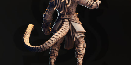 Vaakrin Steeljaw - Black Dragonkin Fighter