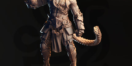 Vaakrin Steeljaw - Black Dragonkin Fighter