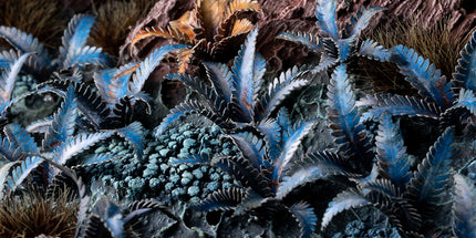 Laser Plants - Alien Fern - Gamers Grass