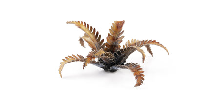 Laser Plants - Alien Fern - Gamers Grass