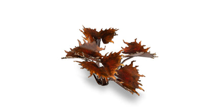 Laser Plants - Alien Flytrap - Gamers Grass