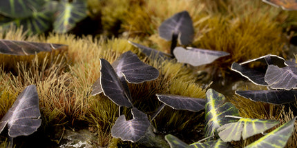 Laser Plants - Black Magic Taro - Gamers Grass