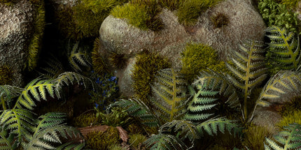 Laser Plants - Bracken - Gamers Grass
