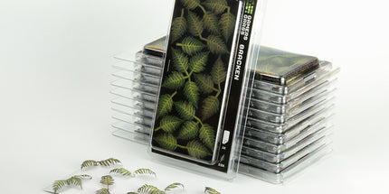 Laser Plants - Bracken - Gamers Grass