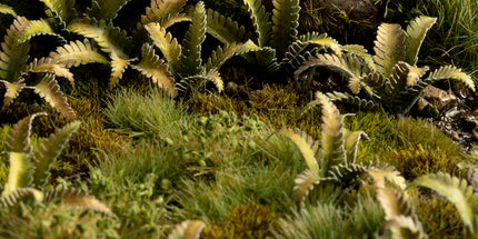Laser Plants - Deer Fern - Gamers Grass