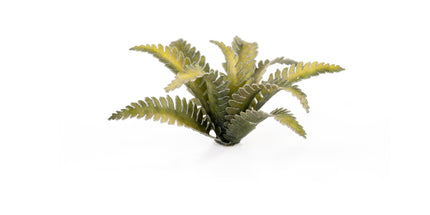 Laser Plants - Deer Fern - Gamers Grass