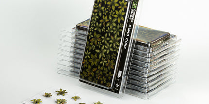 Laser Plants - Dumb Cane - Gamers Grass