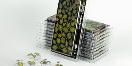 Laser Plants - Monstera - Gamers Grass