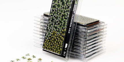 Laser Plants - Plantain Lily - Gamers Grass
