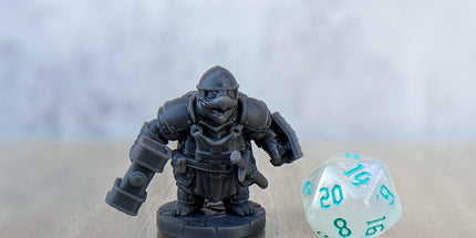Turtle Crusaders Hammers