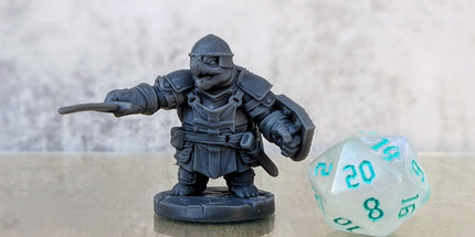 Turtle Crusaders Swordsmen
