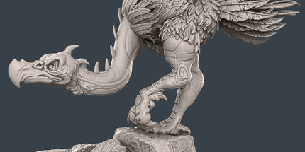 Acrisbird Set