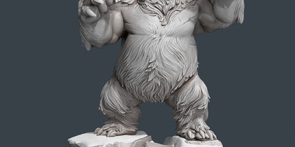 Bear C