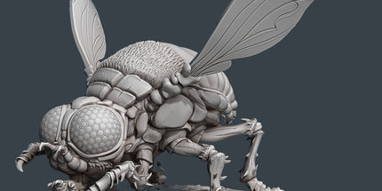 Giant Fly A