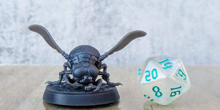 Giant Fly A
