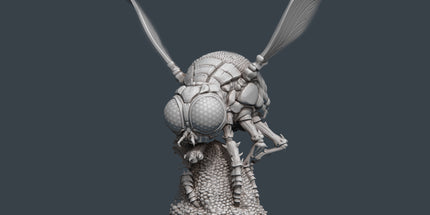Giant Fly B