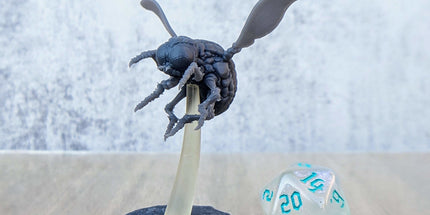 Giant Fly D