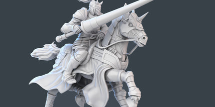 Jousting Combatant C