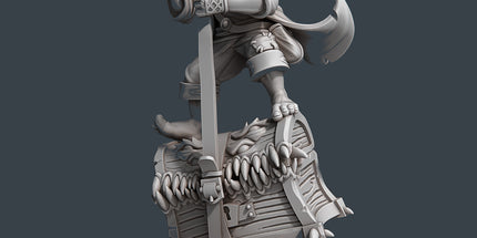 Treasure Hunter C