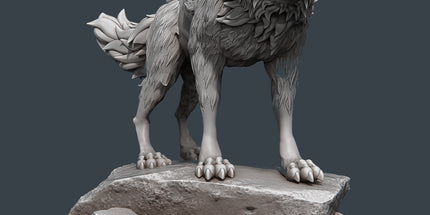 Wolf D