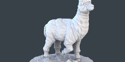 Alpaca