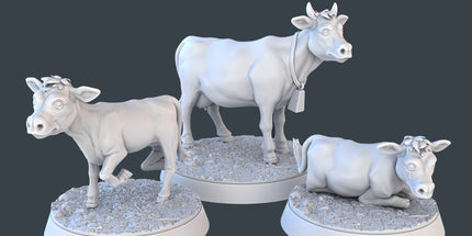 Cows