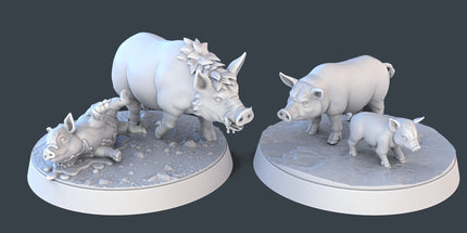 Pigs