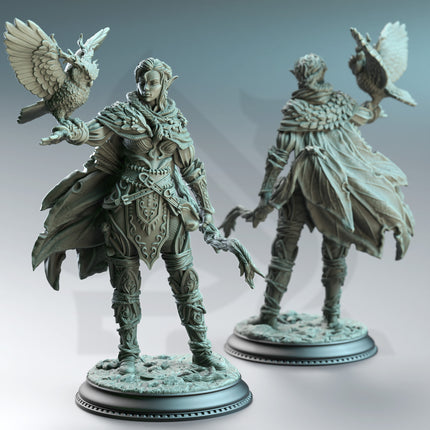 The Fey Court - Full Set