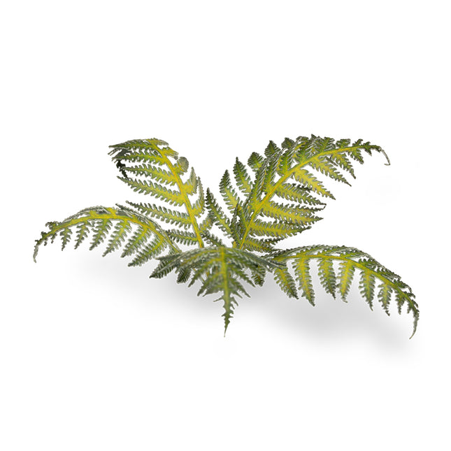Laser Plants - Bracken - Gamers Grass