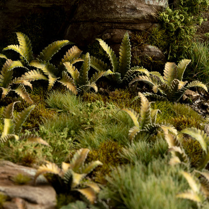 Laser Plants - Deer Fern - Gamers Grass