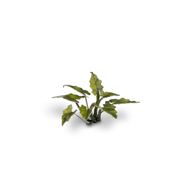 Laser Plants - Lords And Ladies - Gamers Grass