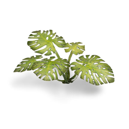 Laser Plants - Monstera - Gamers Grass