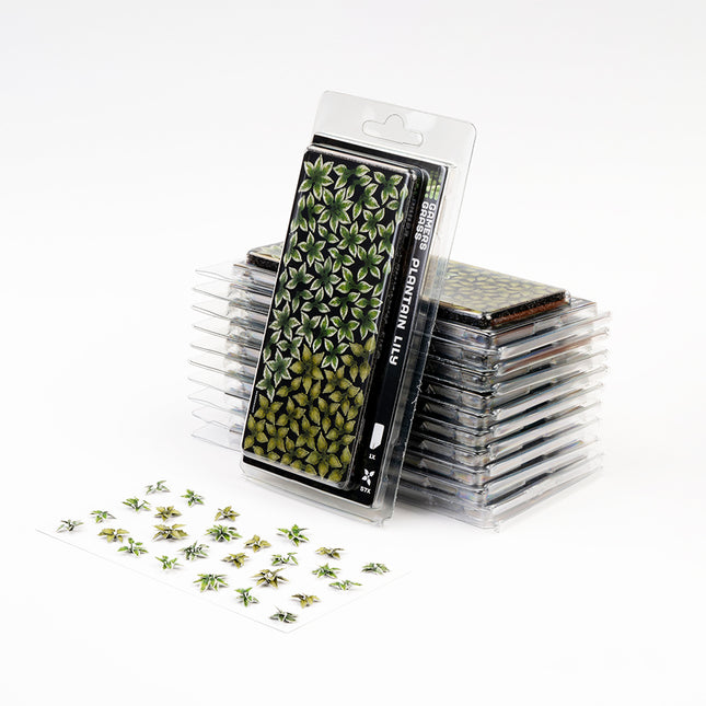 Laser Plants - Plantain Lily - Gamers Grass