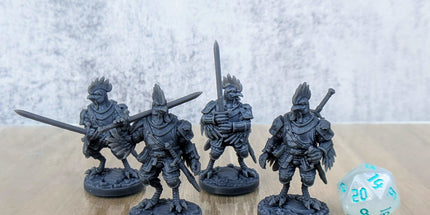 Chicken Knights