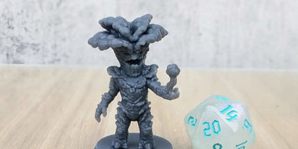 Oyster Mushroom Folk