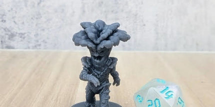 Oyster Mushroom Folk