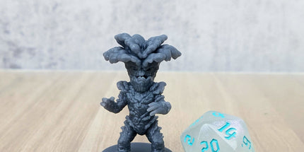 Oyster Mushroom Folk