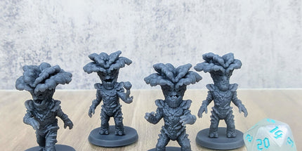 Oyster Mushroom Folk