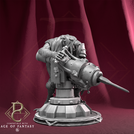 Rat