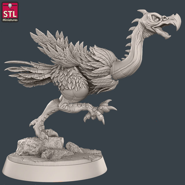 Acrisbird A