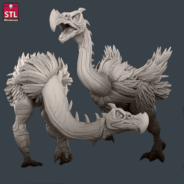 Acrisbird Set