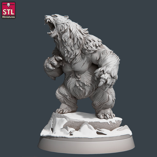 Bear B