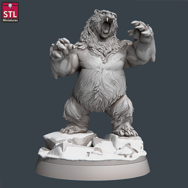 Bear C
