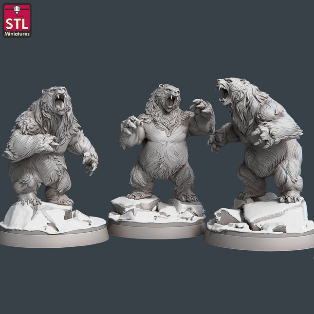Bears Set