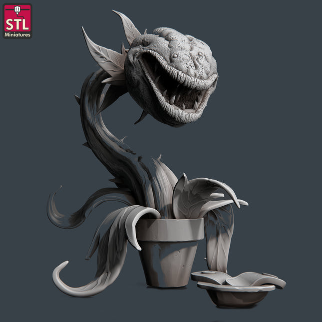 Carnivorous Plant