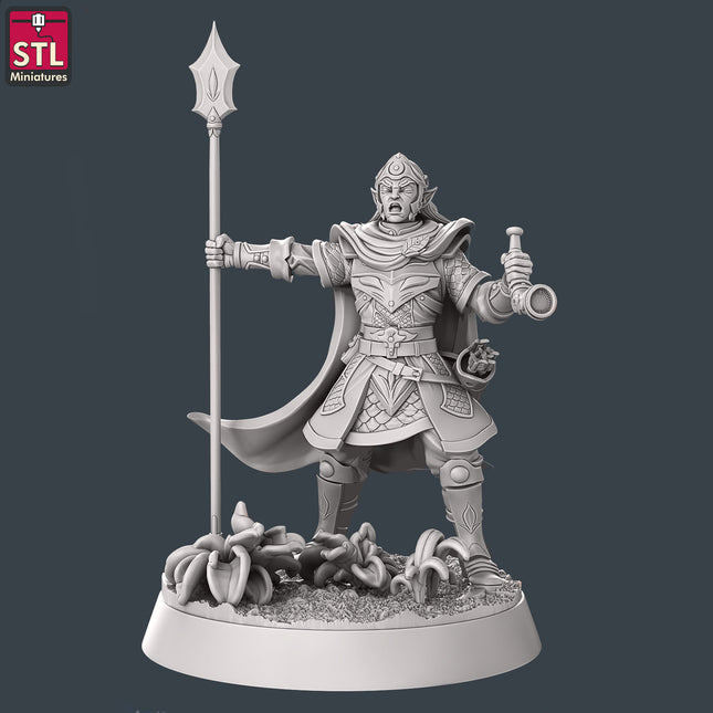 Elf Guard C